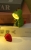 1e6e97a091bfafa89bd1a48d31bc322e.jpg